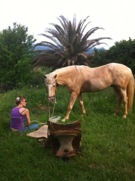 Photo de profil de sandrabosc