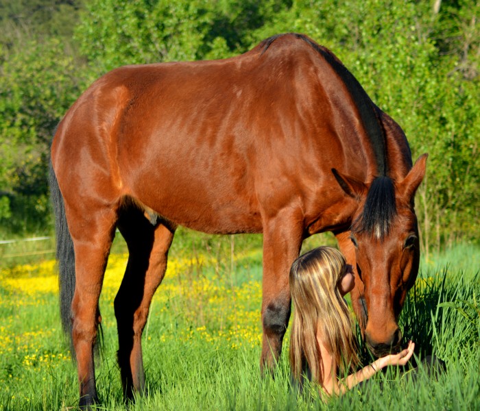 Photo de profil de saranoue34