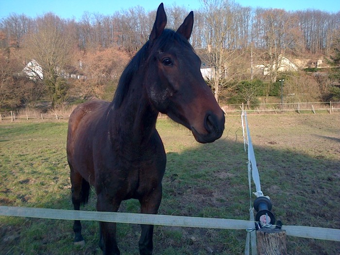 Photo de profil de scuro37