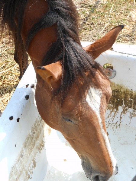 Photo de profil de seraphine
