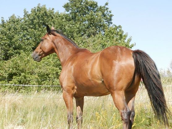 Photo de profil de sicambre32000