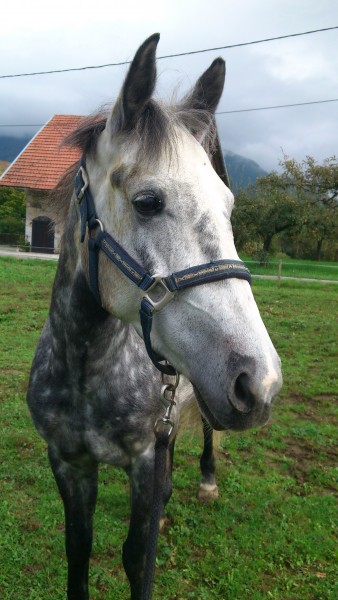 Photo de profil de sircee73