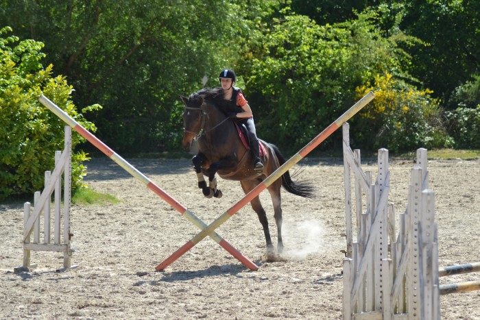 Photo de profil de soequitation