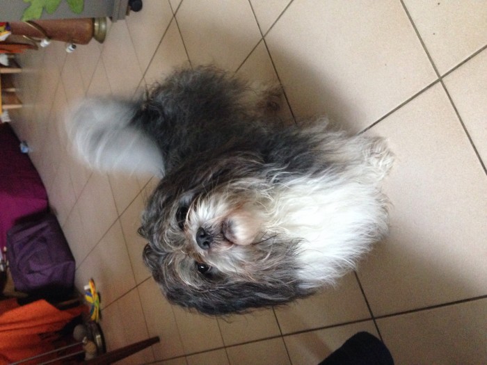 Photo de profil de sofy83mn