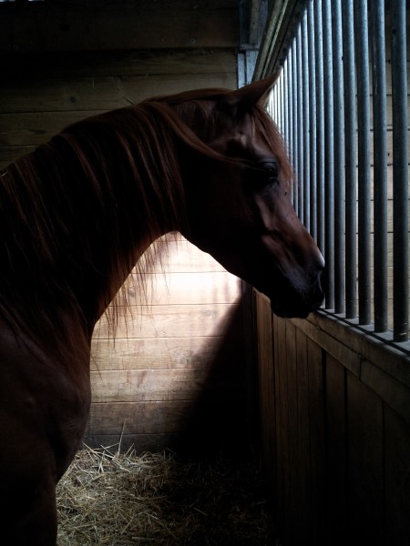 Photo de profil de soho03