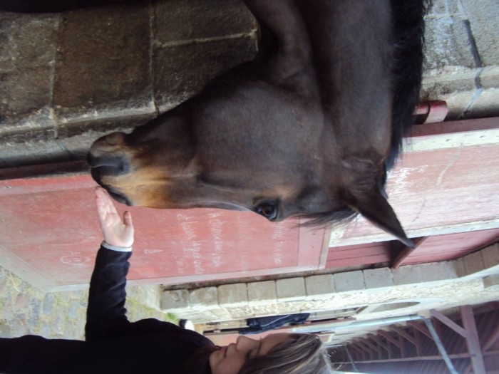Photo de profil de soso56440