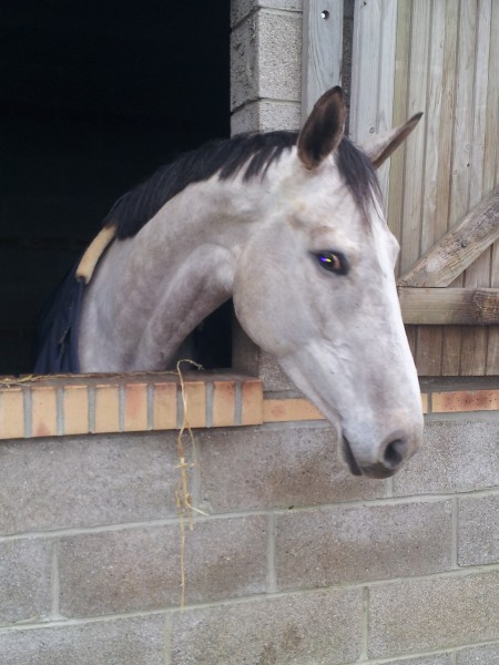 Photo de profil de szal