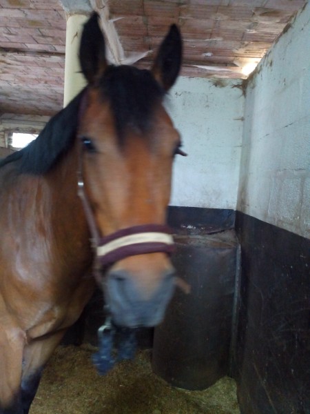 Photo de profil de taboudls