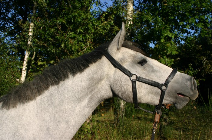 Photo de profil de tagada35