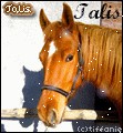 Photo de profil de talis01