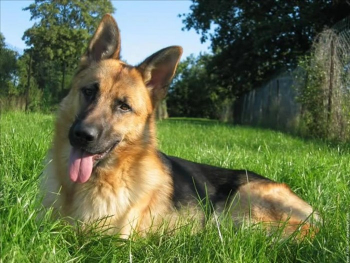 Photo de profil de tamara26