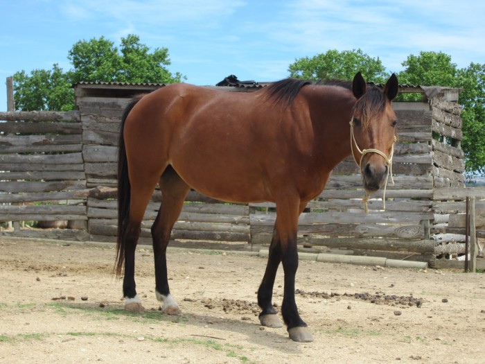 Photo de profil de tequilla1401
