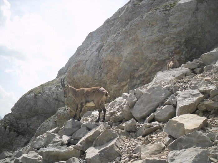 Photo de profil de tiftif69