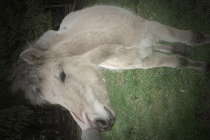 Photo de profil de tiph43