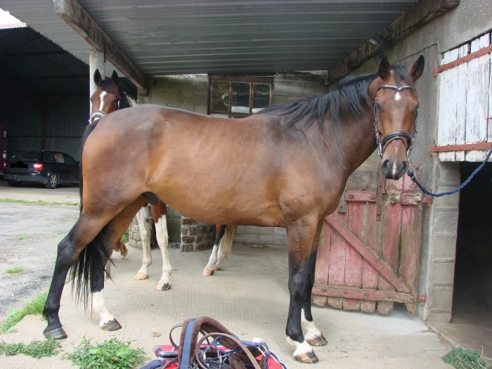 Photo de profil de titi53