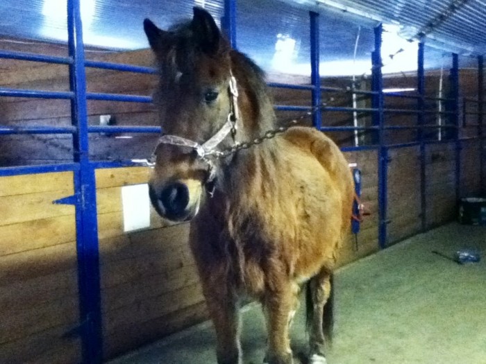 Photo de profil de tobie