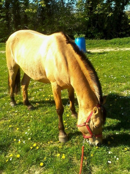 Photo de profil de tulipounette