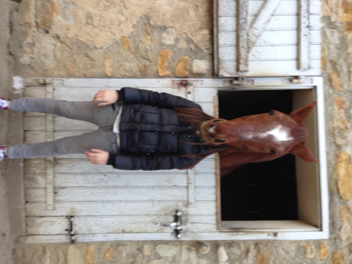 Photo de profil de twingodino