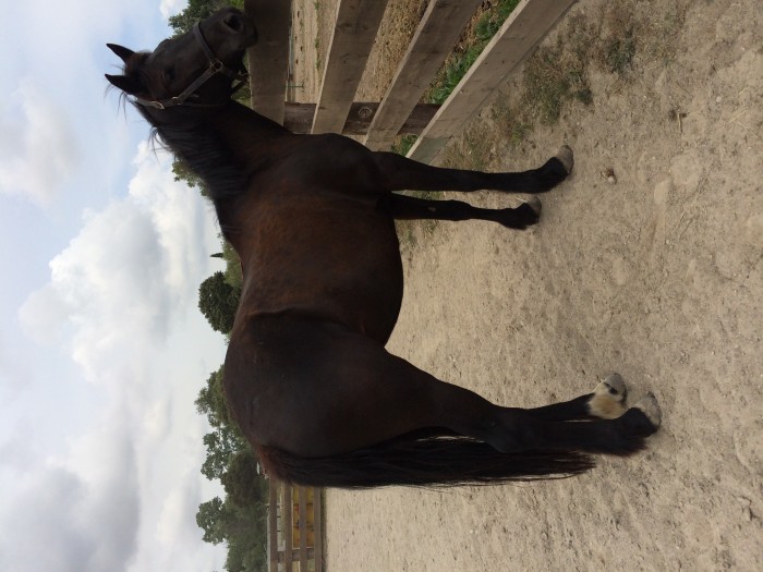 Photo de profil de typhaineging