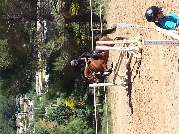 Photo de profil de tytyhorse