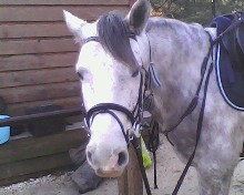 Photo de profil de uhualelisa