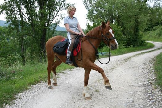 Photo de profil de ulyssedu26