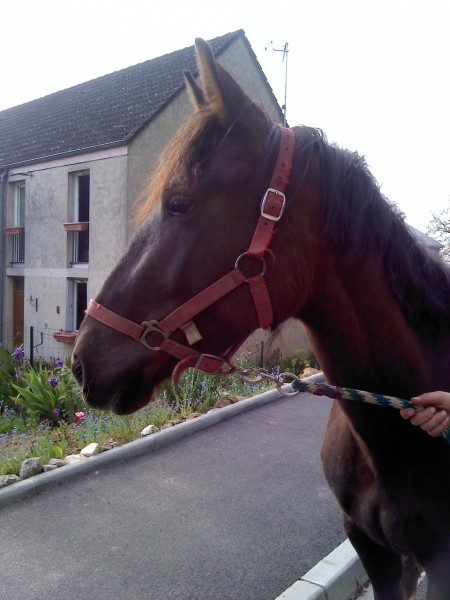 Photo de profil de unique1