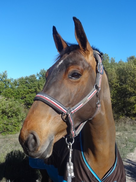 Photo de profil de uppsa24