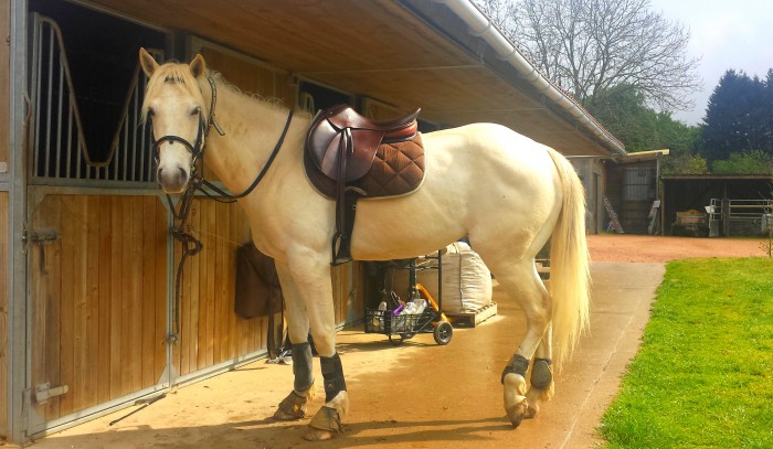 Photo de profil de usylon