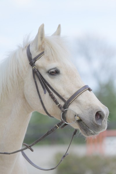 Photo de profil de valerie66