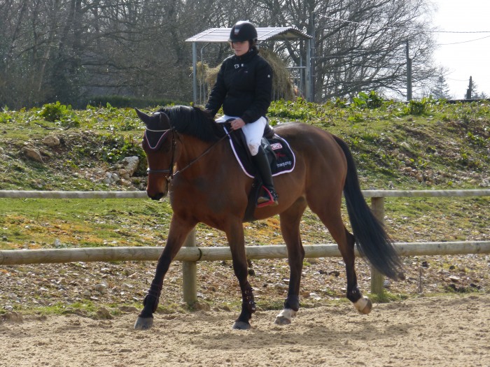 Photo de profil de venatici27