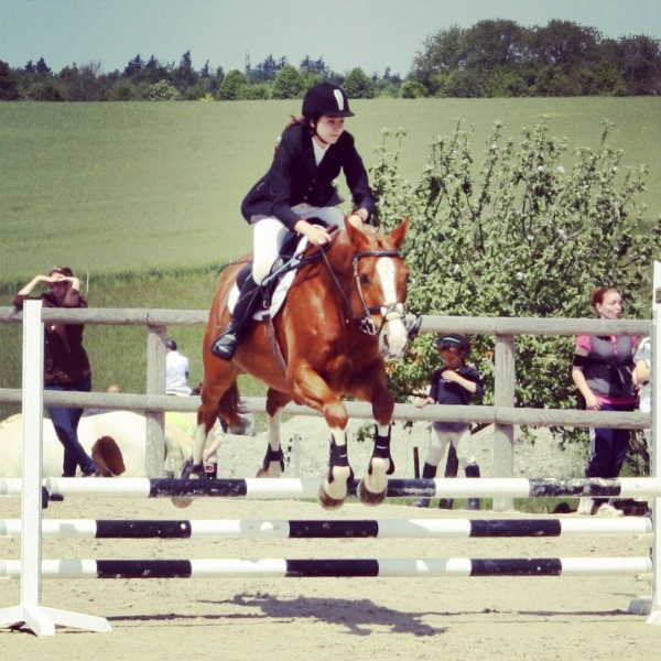 Photo de profil de viclovehorse