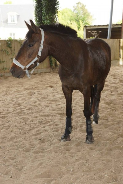 Photo de profil de violine2901