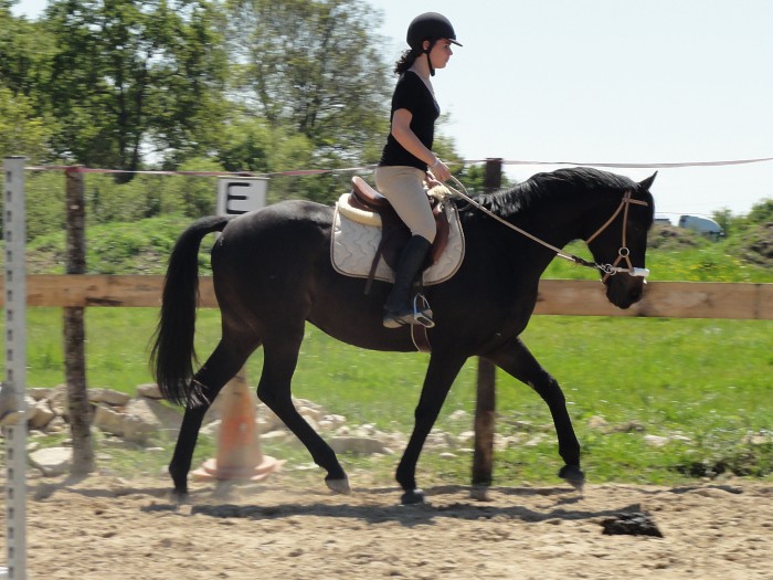 Photo de profil de xamel44x