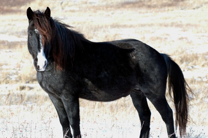 Photo de profil de xeole