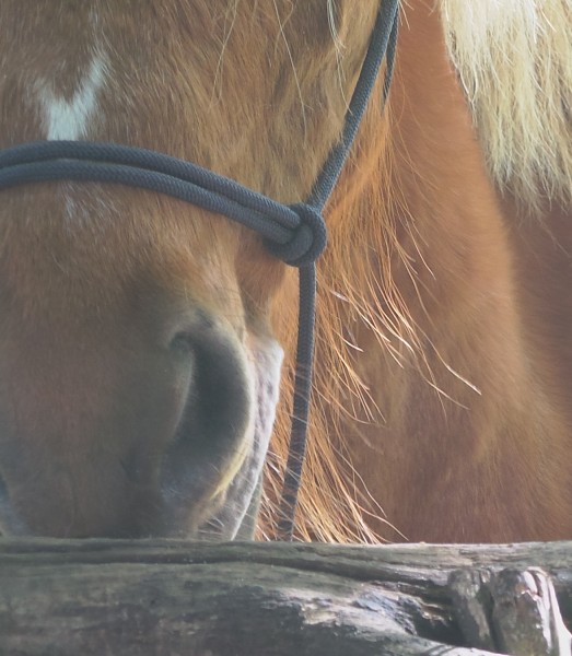 Photo de profil de xslowangel