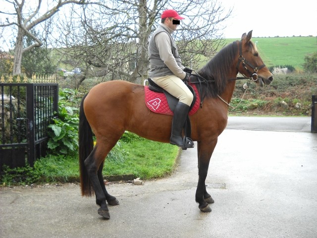 Photo de profil de ydobarganes