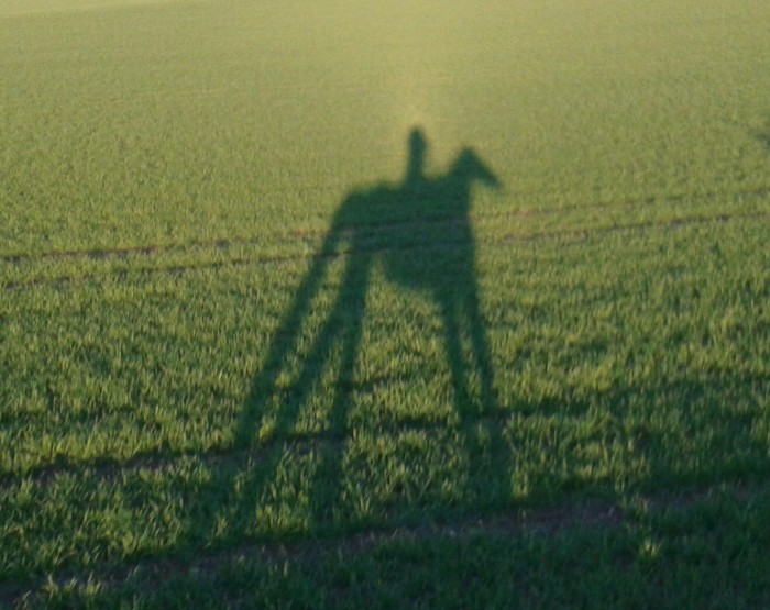 Photo de profil de youpizeze