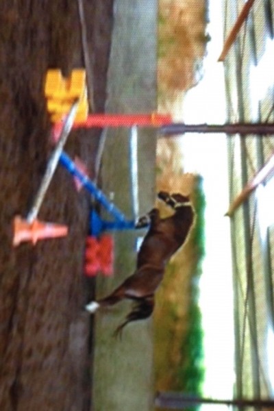 Photo de profil de youyou64