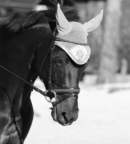 Photo de profil de zinia1