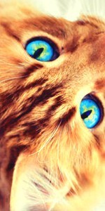 Photo de profil de zorume