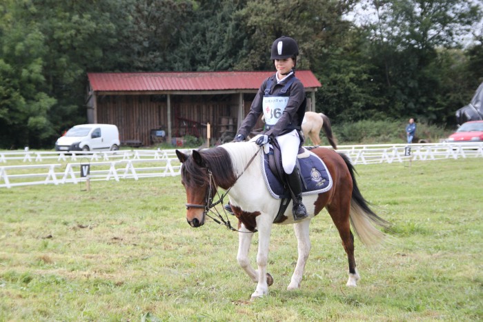Photo de profil de ameliehorse