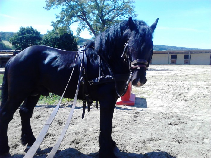 Photo de profil de ange24