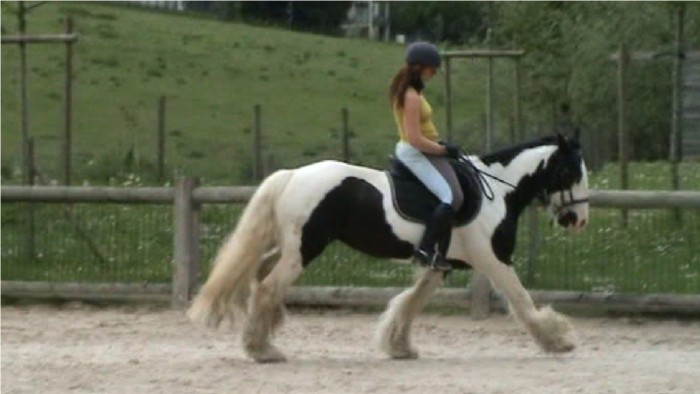Photo de profil de anneca74