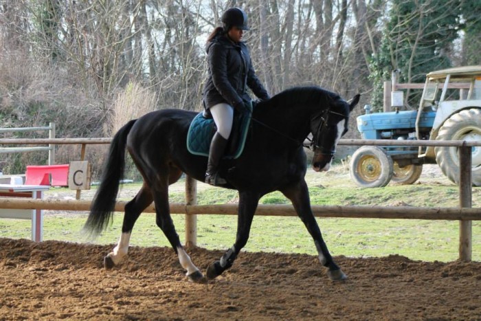 Photo de profil de anouk.e