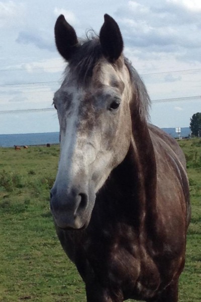 Photo de profil de athenadumont