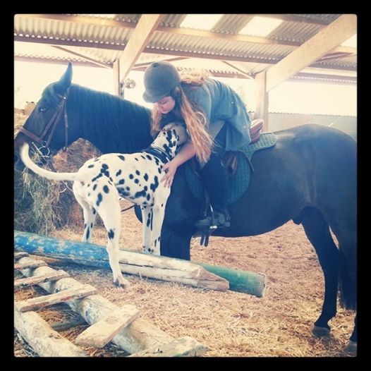 Photo de profil de audyhibisca