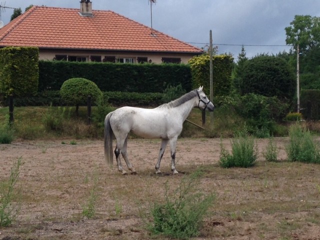 Photo de profil de aureliegierden