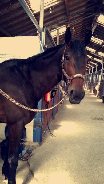 Photo de profil de auudreey