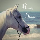 Photo de profil de beautythingx